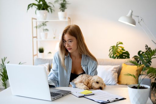 Renda extra no home office: como ganhar dinheiro com a Akmos